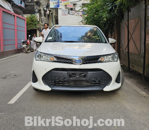 TOYOTA AXIO 2019 Hybrid