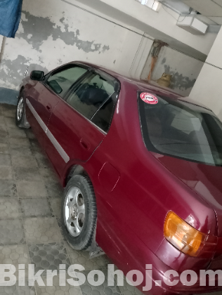 Primeo corona