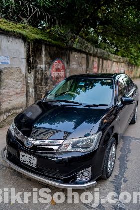 Axio G 2013 hybrid