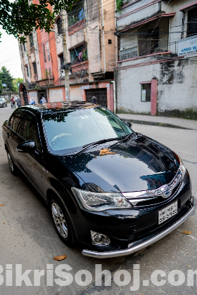 Axio G 2013 hybrid