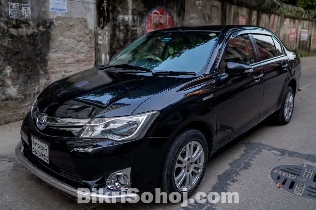 Axio G 2013 hybrid