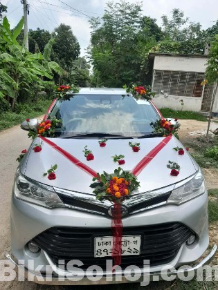 Toyota Axio Hybrid Car